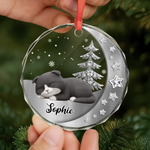 Custom Name Christmas Cat Gifts - Personalized Glass Ornament