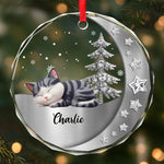 Custom Name Christmas Cat Gifts - Personalized Glass Ornament