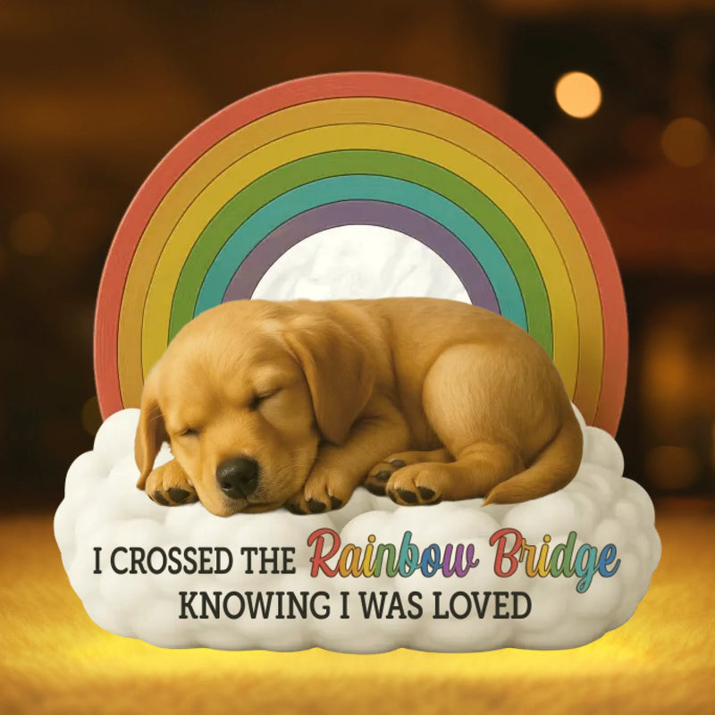 Custom Photo Shaped Light Box - Personalized Pet Memorial Gifts For Dogs, Cats - I’ll Meet You At The Rainbow Bridge