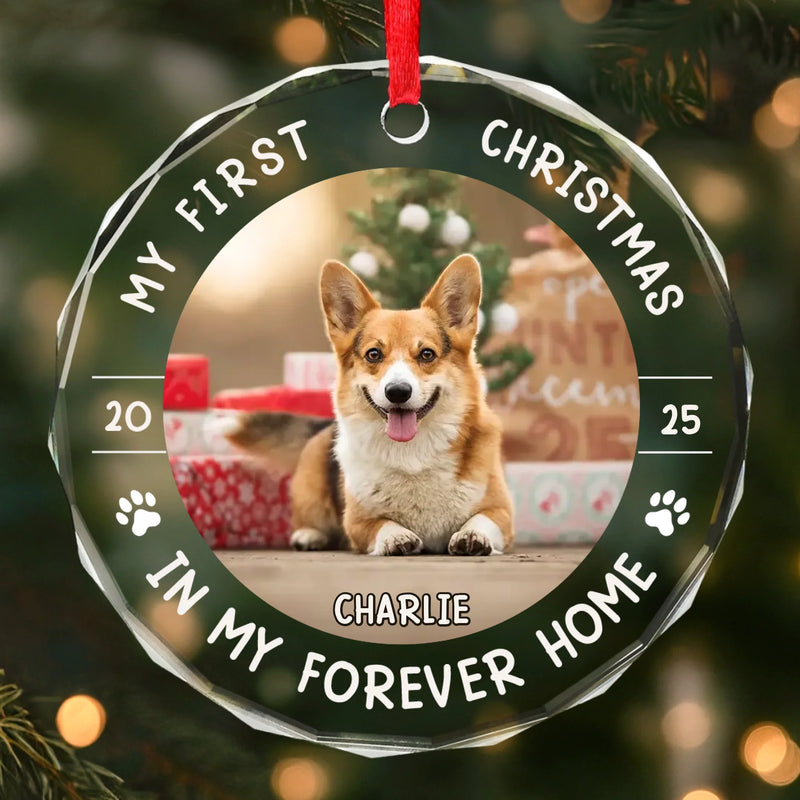 Custom Photo First Christmas Pet Glass Ornament - Personalized Christmas Birthday Gifts For Dog Lovers, Cat Lovers, Pet Dad And Mom, New Pet Ornament - Little Paws First Big Love