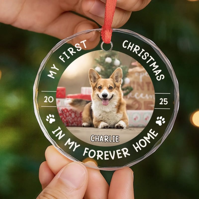 Custom Photo First Christmas Pet Glass Ornament - Personalized Christmas Birthday Gifts For Dog Lovers, Cat Lovers, Pet Dad And Mom, New Pet Ornament - Little Paws First Big Love