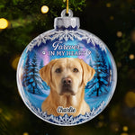 Custom Photo Acrylic Ornament - Personalized Pet Christmas Memorial Sympathy Gifts For Dogs, Cats - Always Missed Always Loved
