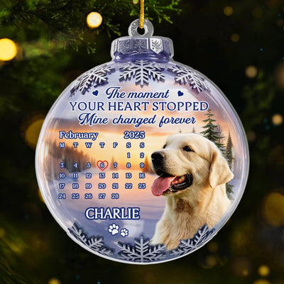 Custom Photo Acrylic Ornament - Personalized Pet Christmas Memorial Sympathy Gifts For Dogs, Cats - Forever Missed Forever Cherished