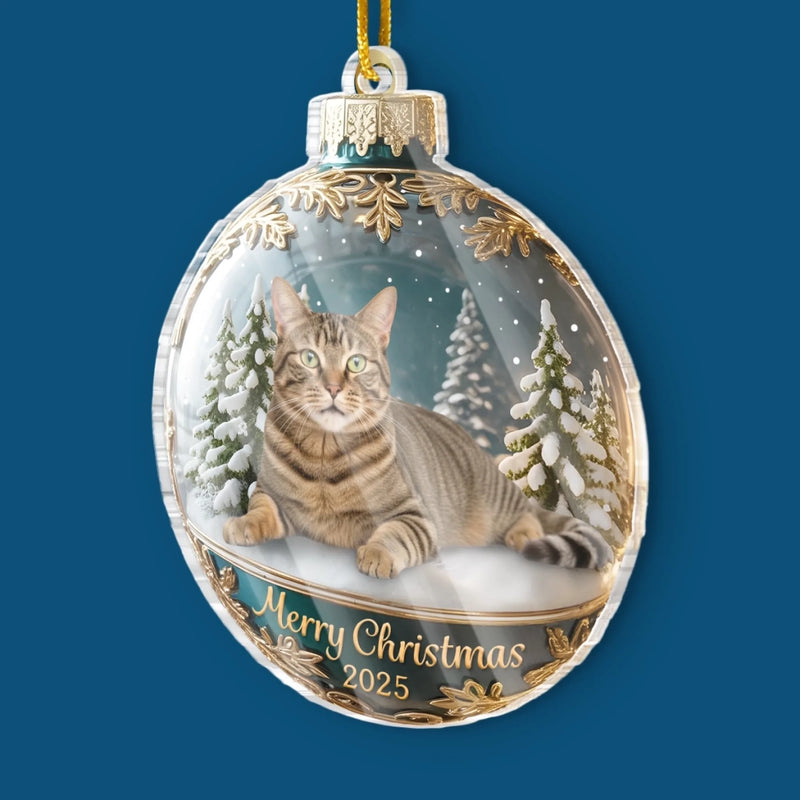 Custom Photo Acrylic Ornament - Personalized  Christmas Birthday Gifts For Dog Cat Lovers, Dog Dad And Mom, Cat Owners - Meowy Christmas, Hooman