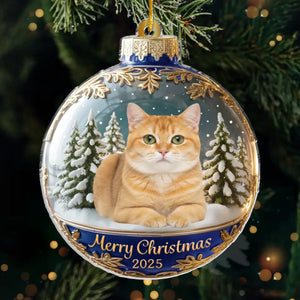 Custom Photo Acrylic Ornament - Personalized  Christmas Birthday Gifts For Dog Cat Lovers, Dog Dad And Mom, Cat Owners - Meowy Christmas, Hooman