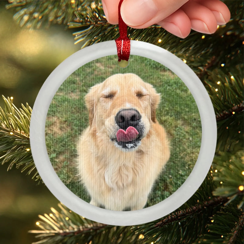 Custom Photo Lenticular Crystal Ornament - Personalized Christmas Birthday Gifts For Dog Cat Lovers, Dog Dad And Mom, Cat Owners - Furry & Festive