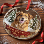 Custom Photo Circle Glass Ornament - Personalized Christmas Birthday Gifts For Dog Cat Lovers, Dog Dad And Mom, Cat Owners - Life Feels Better With Pets