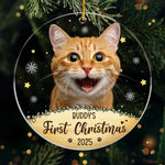 Custom Photo Pawsitively Grateful For The Joy My Pet Brings This Christmas - Dog & Cat Personalized Custom Ornament - Acrylic Custom Shaped - Christmas Gift For Pet Owners, Pet Lovers
