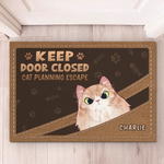 Custom Name Cats Planning Escape Gifts - Personalized Doormat