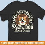 Custom Unisex T-shirt, Premium T-shirt, Hoodie - Personalized Birthday Gifts For Dog Lovers, Dog Dad And Mom - Dad’s Favorite Mistake