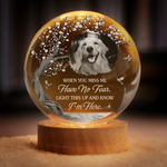 Custom Photo Crystal Globe Lamp - Personalized Pet Memorial Sympathy Gifts For Dogs, Cats - Gone Yet Always Near