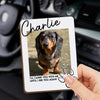 Custom Photo Car Visor Clip - Personalized Pet Memorial Sympathy Gifts For Dogs, Cats - My Little Guardian Angel
