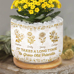 Custom Home Decor Ceramic Plant Pot - Personalized Best Friend Birthday Gifts For Women, Besties, Sisters, BFF - Grow An Old Friend