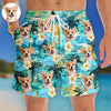 Custom Photo Tropical Hawaiian Aloha Men Beach Shorts - Personalized Summer Vacation And Travel Gifts For Dog Cat Lovers, Dog Dad And Mom, Cat Owners - Poolside Paws And Island Breeze