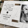 Custom Photo Collar Plaque With Stand - Personalized Pet Memorial Sympathy Gifts For Dogs, Cats - Until We Meet Again In Heaven