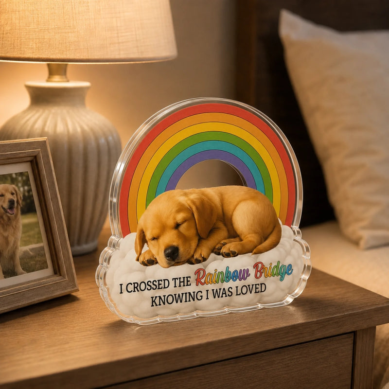 Custom Photo Forever In My Heart - Memorial Personalized Custom Acrylic Plaque Custom Shape - Sympathy Gift For Pet Owners, Pet Lovers