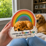 Custom Photo Forever In My Heart - Memorial Personalized Custom Acrylic Plaque Custom Shape - Sympathy Gift For Dog Lovers, Cat Lovers