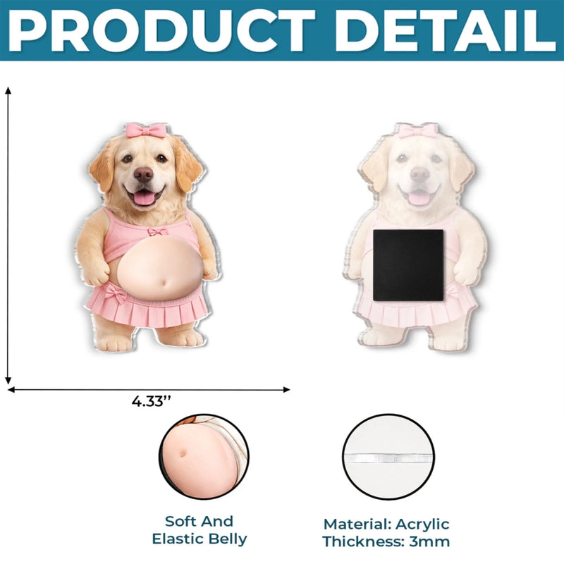 Custom Photo Squishy Acrylic Fridge Magnet – Personalized Birthday Gifts For Dog Cat Lovers, Dog Dad And Mom, Cat Owners - My Favorite Daily Giggle