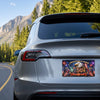 Custom License Plate - Personalized America 250th Anniversary Gifts For Mom, Dad, Brother, Sister, Kids - Together We Shine Bright