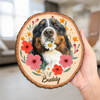 Custom Photo 2-Layered Wooden Plaque - Personalized Birthday Gifts For Dog Cat Lovers, Dog Dad And Mom, Cat Owners - My Sweet Furry Flower Boy