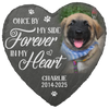 Custom Photo Memorial Stone - Personalised Pet Memorial Sympathy Gifts For Dogs, Cats, Loss Of Dog, Loss Of Cat - You Would Have Lived Forever