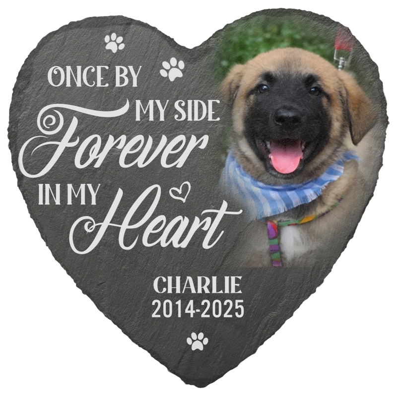 Custom Photo Memorial Stone - Personalised Pet Memorial Sympathy Gifts For Dogs, Cats, Loss Of Dog, Loss Of Cat - You Would Have Lived Forever