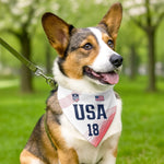 Custom USA World Football Pet Bandana - Personalized Birthday Gifts For Football Dog Cat Lovers, Dog Dad And Mom, Cat Owners - The Real MVP Has Four Paws