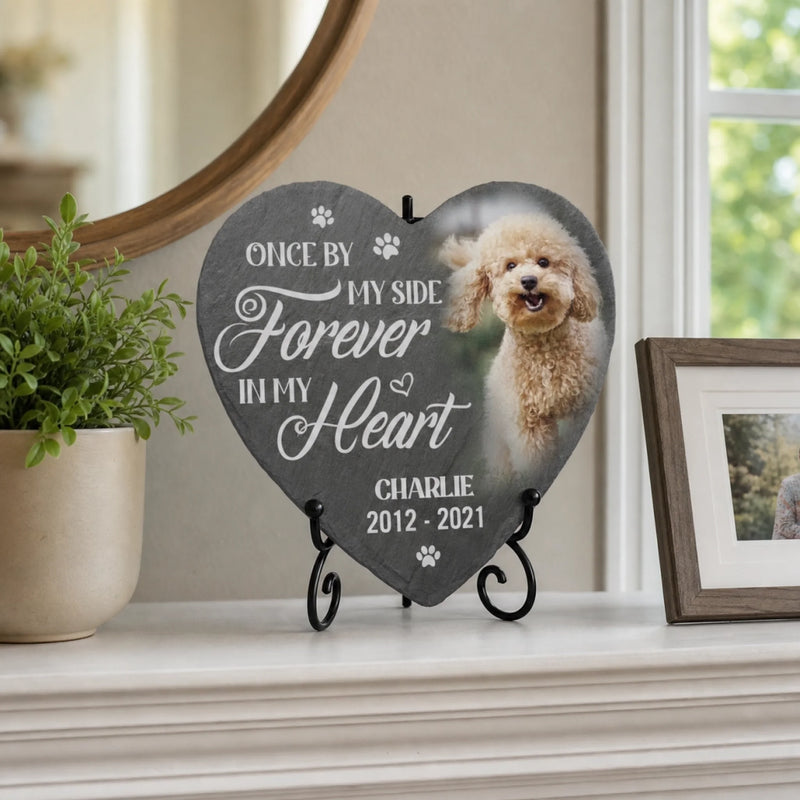 Custom Photo Memorial Stone - Personalised Pet Memorial Sympathy Gifts For Dogs, Cats, Loss Of Dog, Loss Of Cat - You Would Have Lived Forever