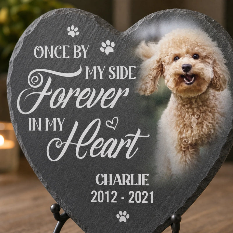 Custom Photo Memorial Stone - Personalised Pet Memorial Sympathy Gifts For Dogs, Cats, Loss Of Dog, Loss Of Cat - You Would Have Lived Forever