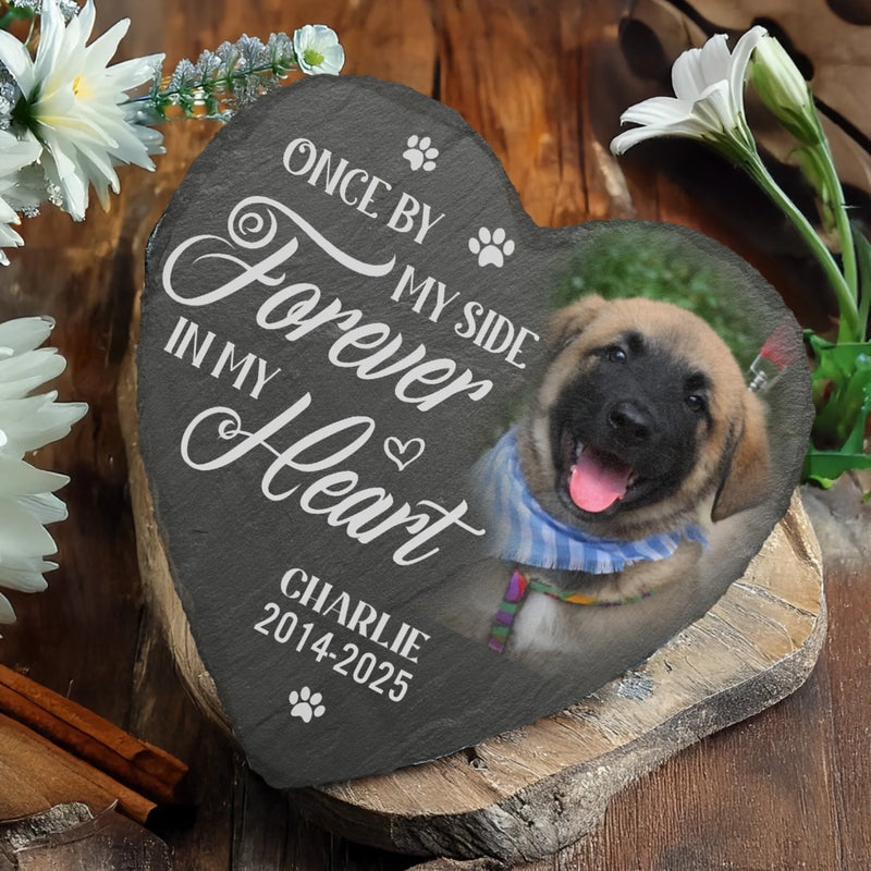 Custom Photo Memorial Stone - Personalised Pet Memorial Sympathy Gifts For Dogs, Cats, Loss Of Dog, Loss Of Cat - You Would Have Lived Forever