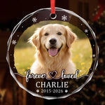 Custom Photo Circle Glass Ornament - Personalized Pet Christmas Memorial Sympathy Gifts For Dogs, Cats - Paw Prints Stay Forever