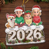 Custom Acrylic Ornament - Personalized Christmas Birthday Gifts For Mom, Dad, Brother, Sister, Dog Cat Lovers - Together Makes Every Moment Better