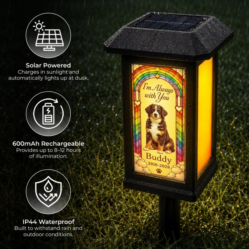 Custom Photo Solar Garden Light - Personalized Pet Memorial Sympathy Gifts For Dogs, Cats - Meet Me At Rainbow Bridge