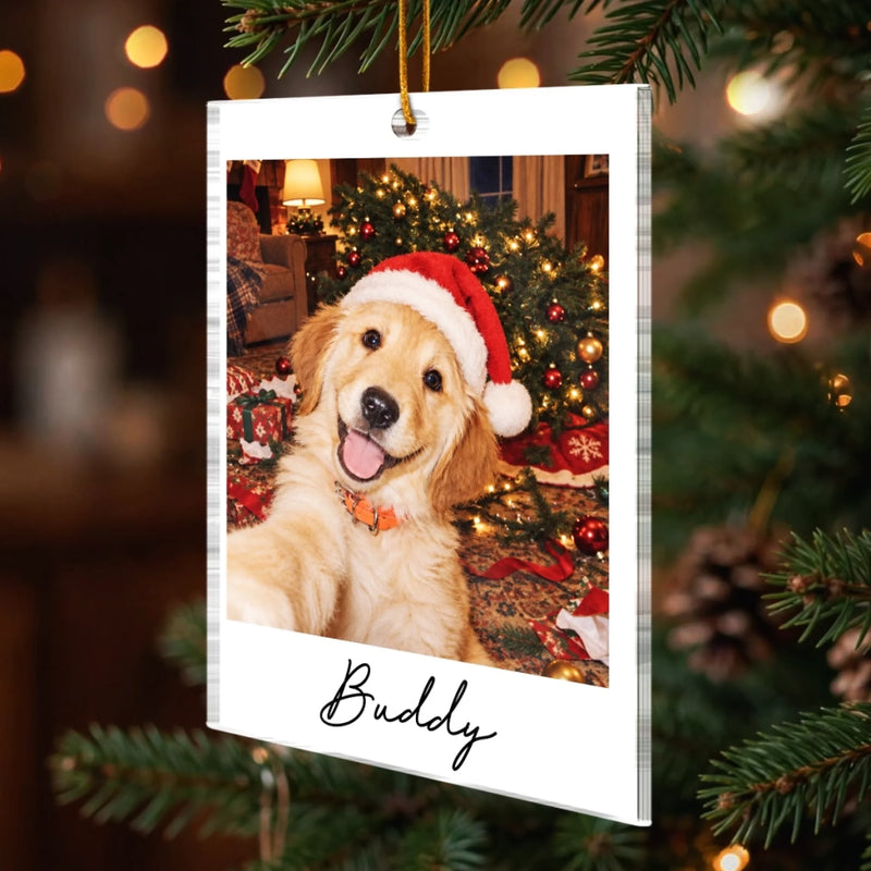 Custom Funny Pet Selfie Photo Christmas Gifts For Dog Cat Lovers - Personalized Acrylic Ornament