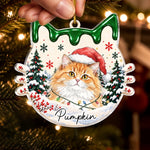 Custom Pet Photo Christmas Cat Name Gifts For Cat Lovers - Personalized Acrylic Ornament