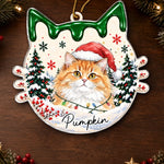 Custom Pet Photo Christmas Cat Name Gifts For Cat Lovers - Personalized Acrylic Ornament