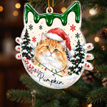 Custom Pet Photo Christmas Cat Name Gifts For Cat Lovers - Personalized Acrylic Ornament