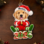 Custom Pet Photo Santa Character Christmas Decor Gifts For Dog Lovers, Cat Lovers - Personalized Acrylic Ornament