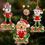 Custom Pet Photo Santa Character Christmas Decor Gifts For Dog Lovers, Cat Lovers - Personalized Acrylic Ornament
