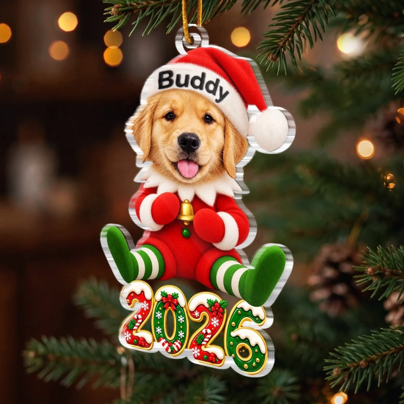 Custom Pet Photo Santa Character Christmas Decor Gifts For Dog Lovers, Cat Lovers - Personalized Acrylic Ornament