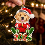 Custom Pet Photo Santa Character Christmas Decor Gifts For Dog Lovers, Cat Lovers - Personalized Acrylic Ornament