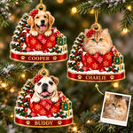 Custom Pet Portrait Christmas Keepsake Gifts - Personalized Acrylic Ornament