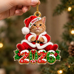 Custom Pet Photo Santa Christmas Keepsake - Personalized Acrylic Ornament