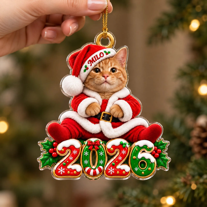 Custom Pet Photo Santa Christmas Keepsake - Personalized Acrylic Ornament