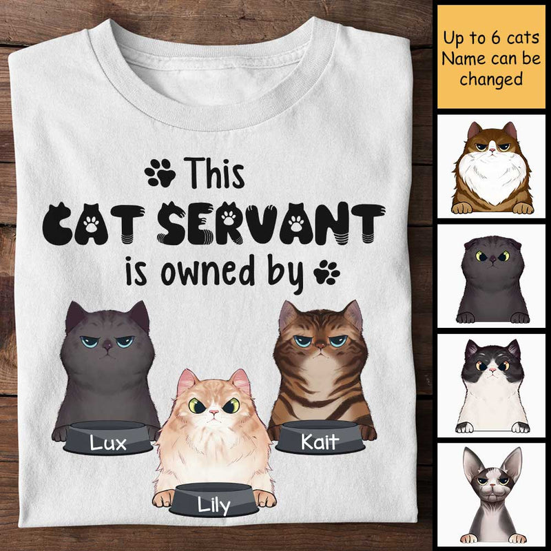 This Cat Servant Is Owned By - Personalized Unisex T-Shirt