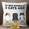 I Was Normal With My Cats - Funny Personalized Cat Pillow (Insert Included)