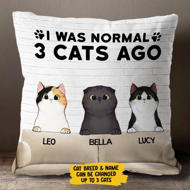 I Was Normal With My Cats - Funny Personalized Cat Pillow (Insert Included)