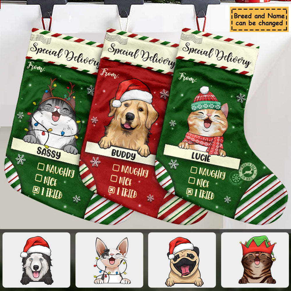 Special Delivery To Santa - Christmas Dogs & Cats - Personalized Christmas Stocking.
