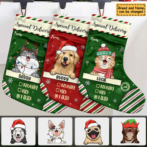 Special Delivery To Santa - Christmas Dogs & Cats - Personalized Christmas Stocking.
