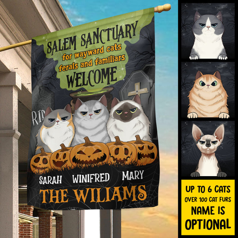 Salem Sanctuary For Wayward Cats - Personalized Funny Cat Flag
